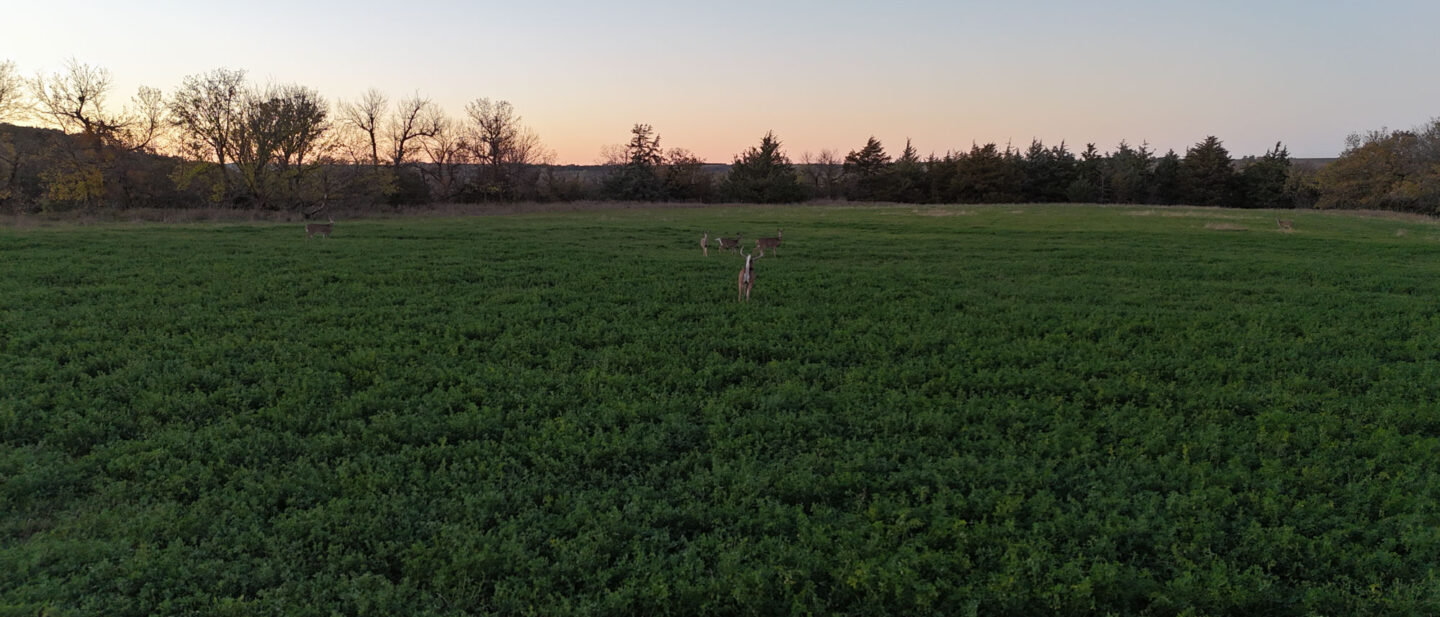 DJI 20251022185725 0133 D