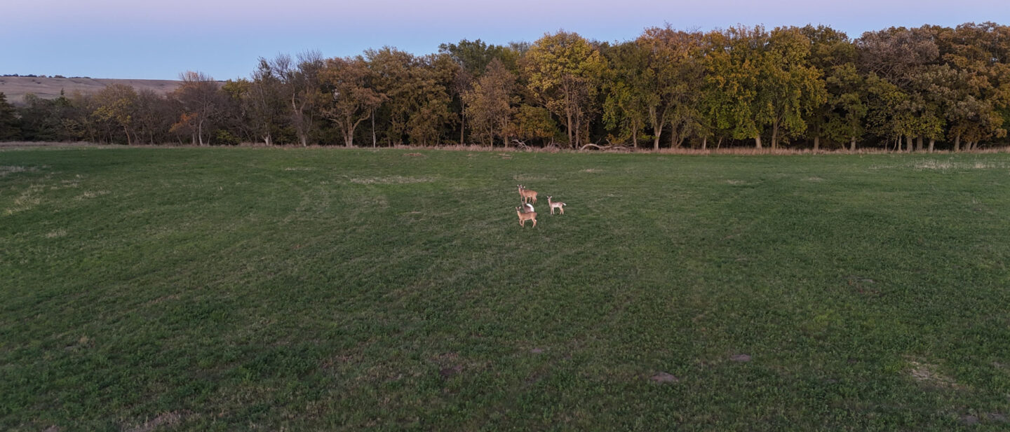 DJI 20251022185902 0141 D