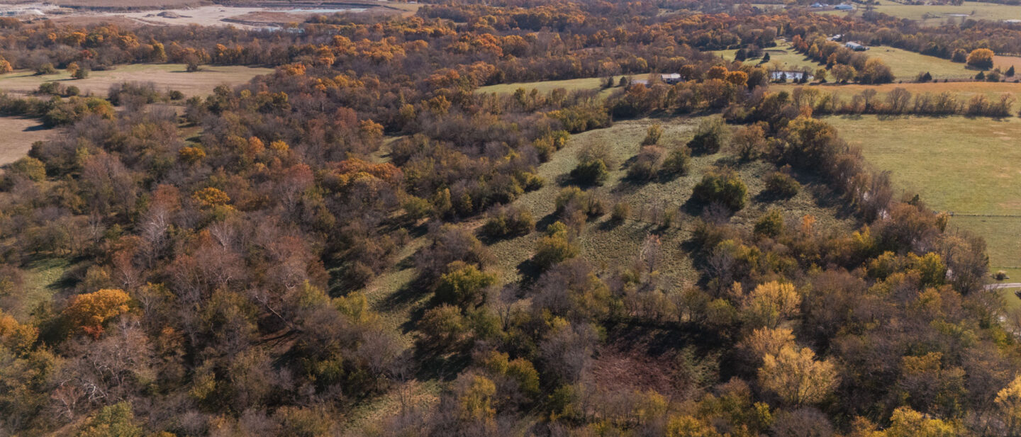 DJI 20251105150022 0024 D