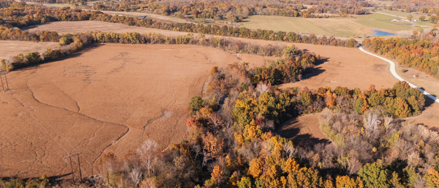 DJI 20251105161309 0043 D