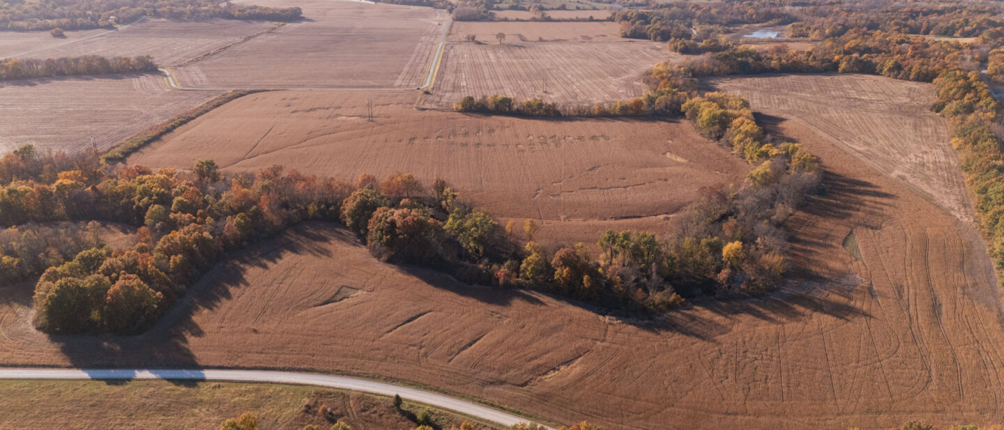 DJI 20251105161703 0047 D