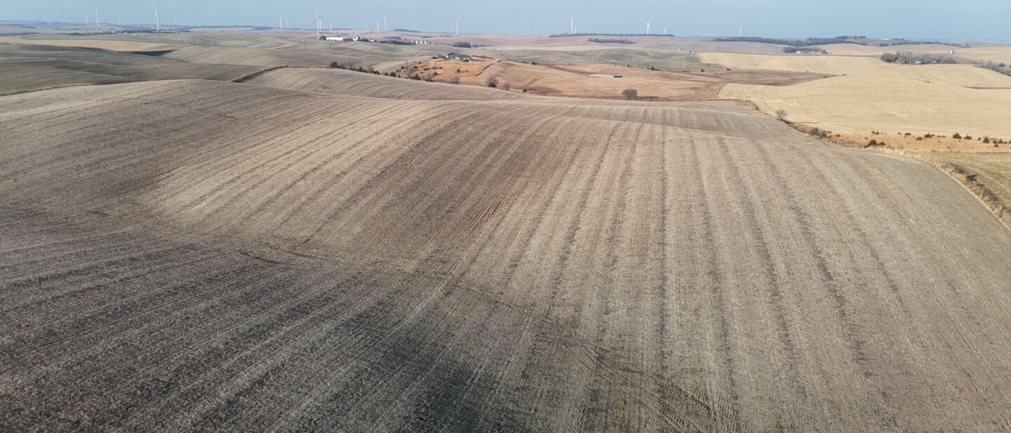 DJI 20260103153421 0146 D