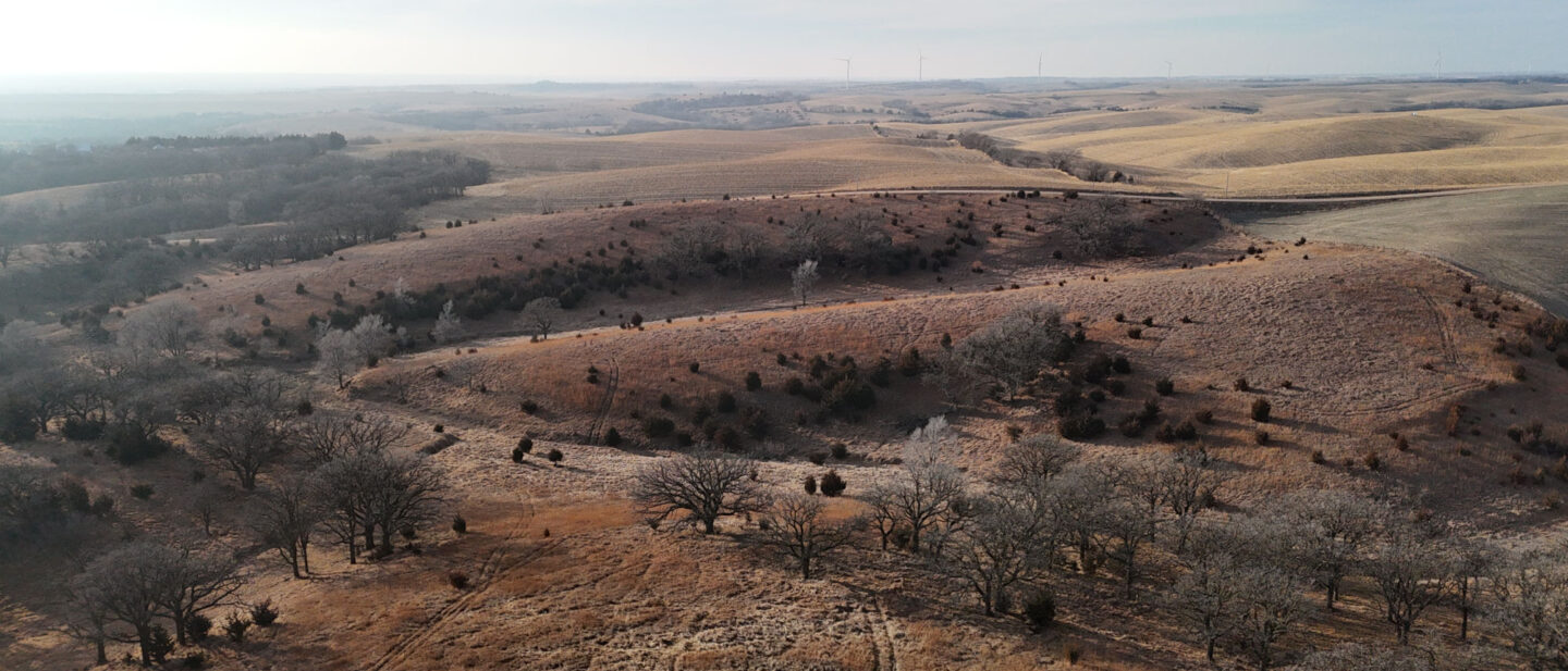 DJI 20260103153455 0151 D