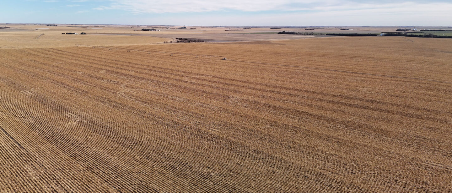 DJI 20260107151707 0173 D