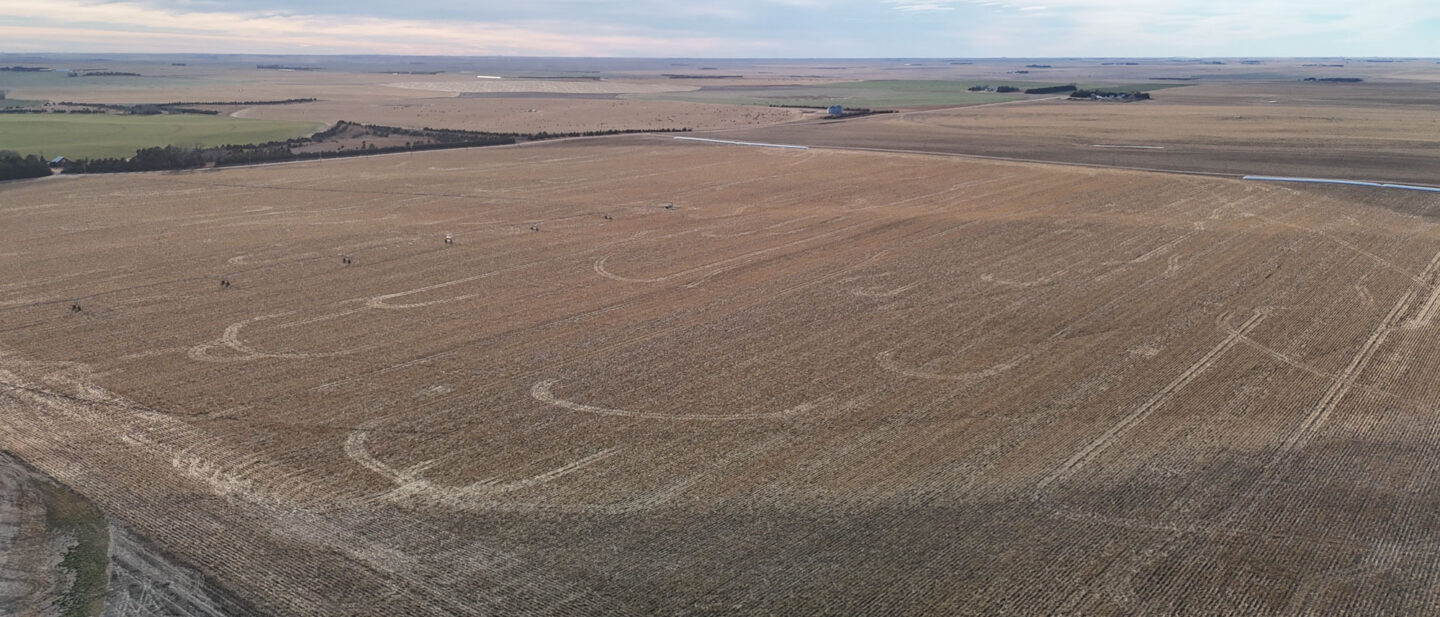 DJI 20260107152645 0190 D