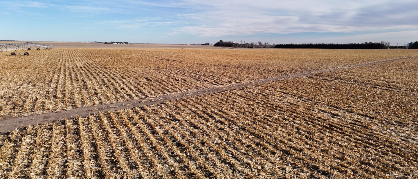 DJI 20260107152856 0198 D