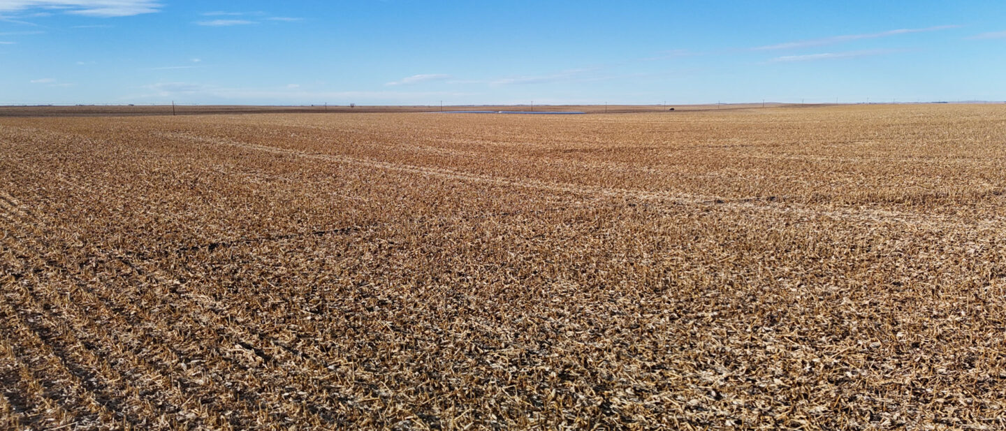 DJI 20260107152901 0200 D