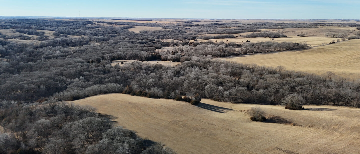 DJI 20260112103024 0175 D