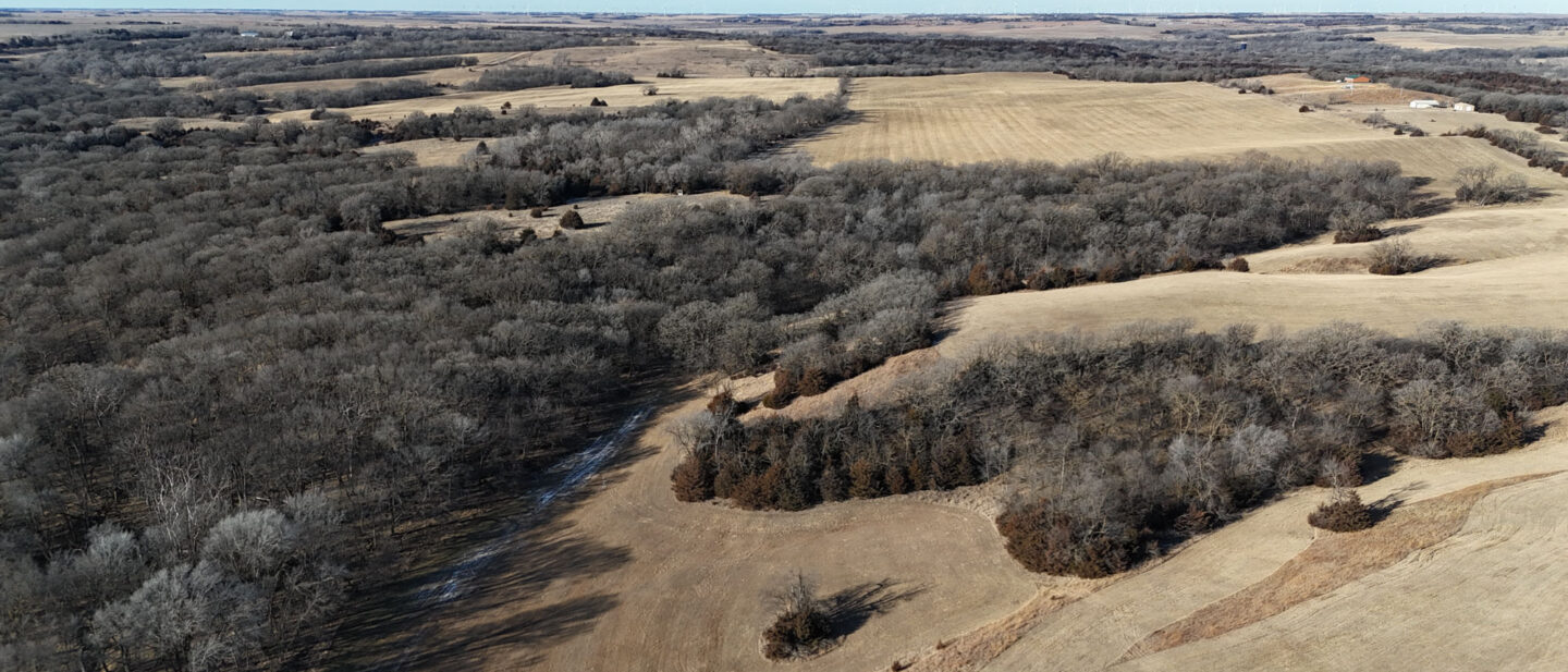 DJI 20260112103117 0181 D