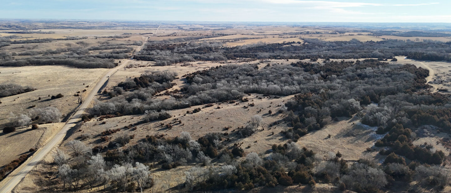 DJI 20260112104459 0221 D