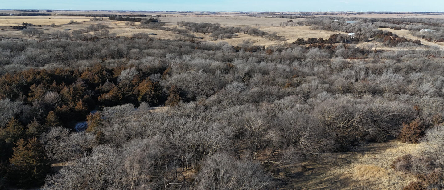 DJI 20260112104641 0225 D