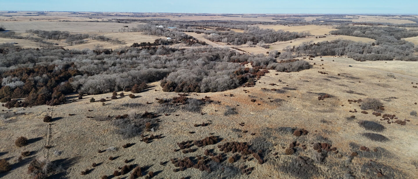 DJI 20260112104716 0228 D