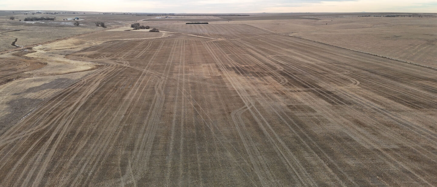 DJI 20260128133842 0269 D