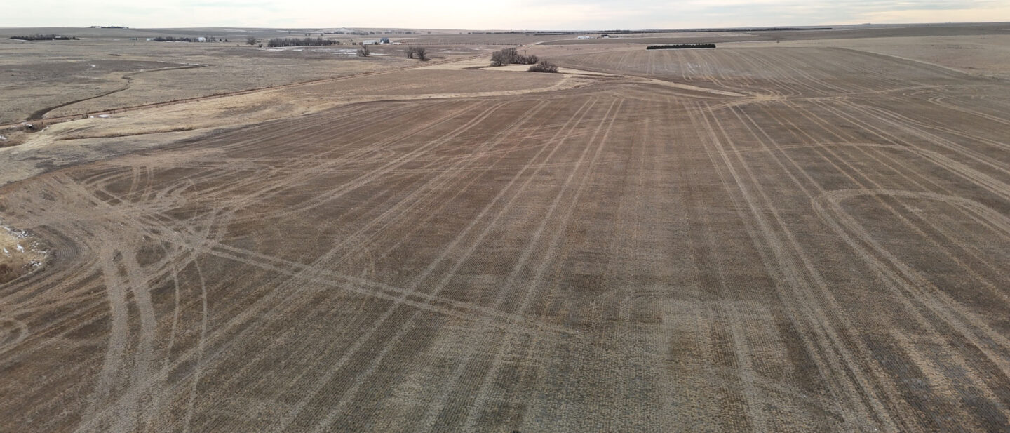 DJI 20260128133900 0272 D