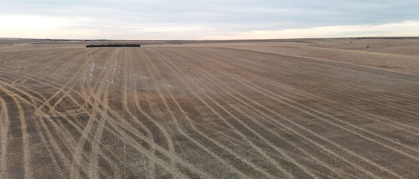 DJI 20260128133934 0275 D