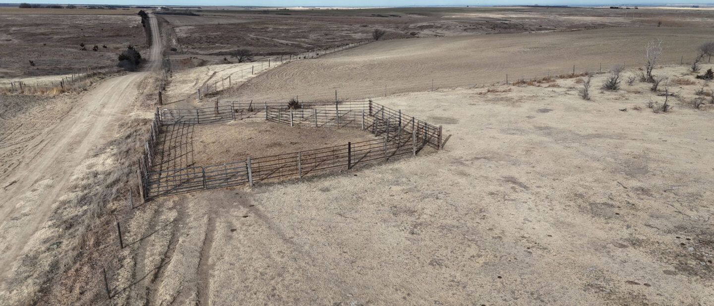 DJI 20260213095318 0003 D