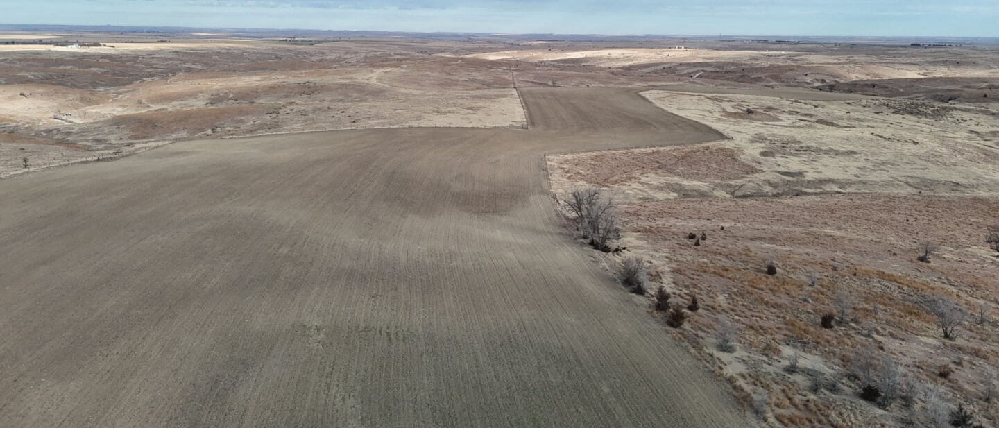 DJI 20260213095338 0006 D