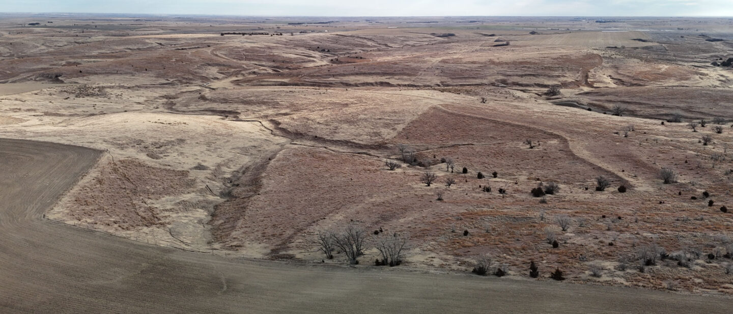 DJI 20260213095433 0010 D