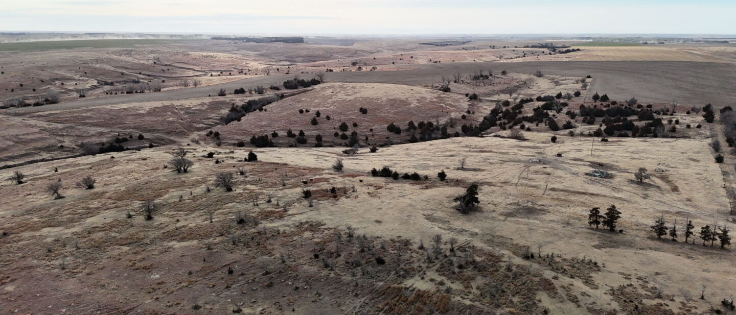 DJI 20260213095503 0012 D