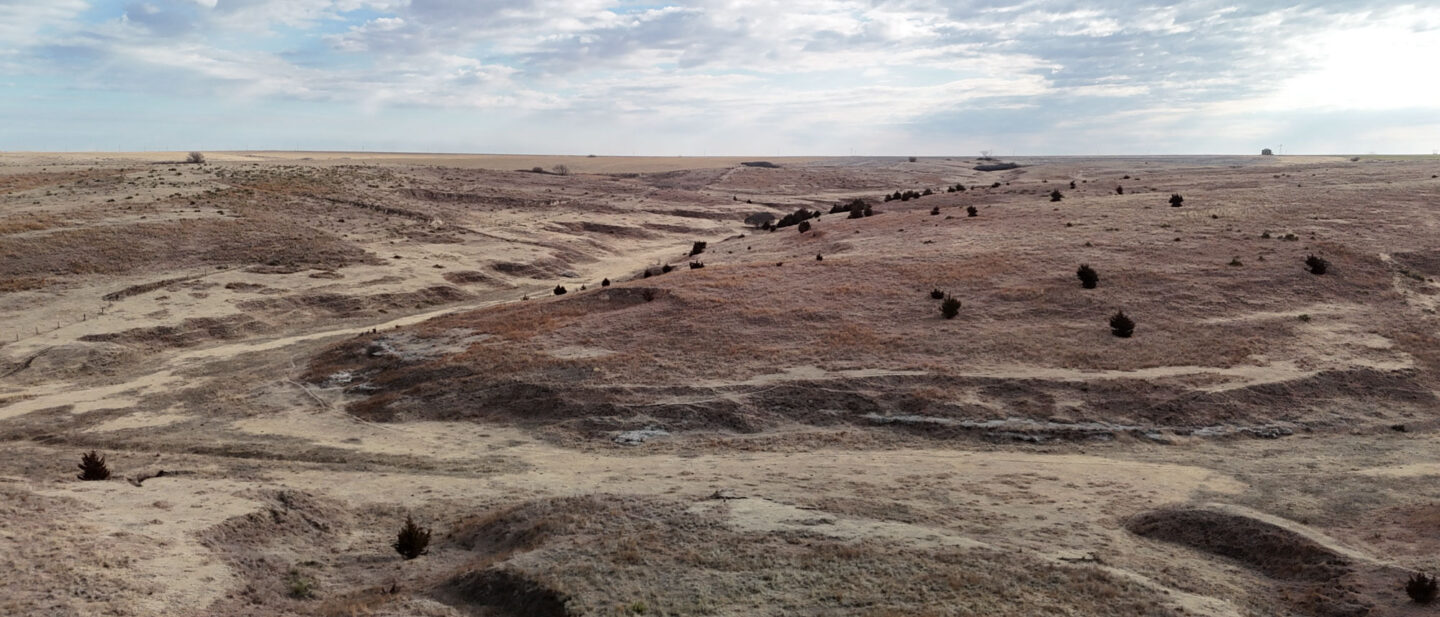 DJI 20260213095658 0020 D