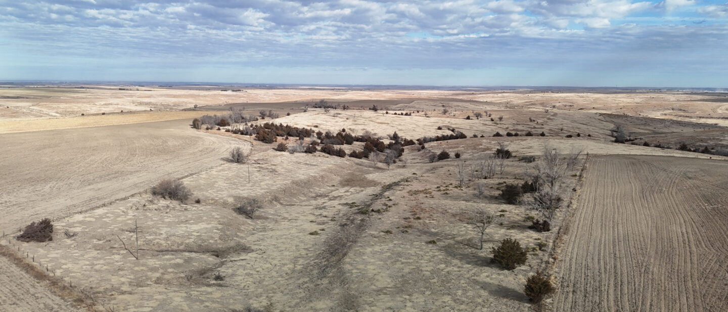 DJI 20260213100110 0028 D