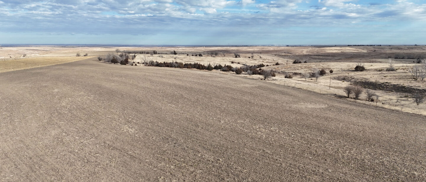 DJI 20260213100130 0030 D