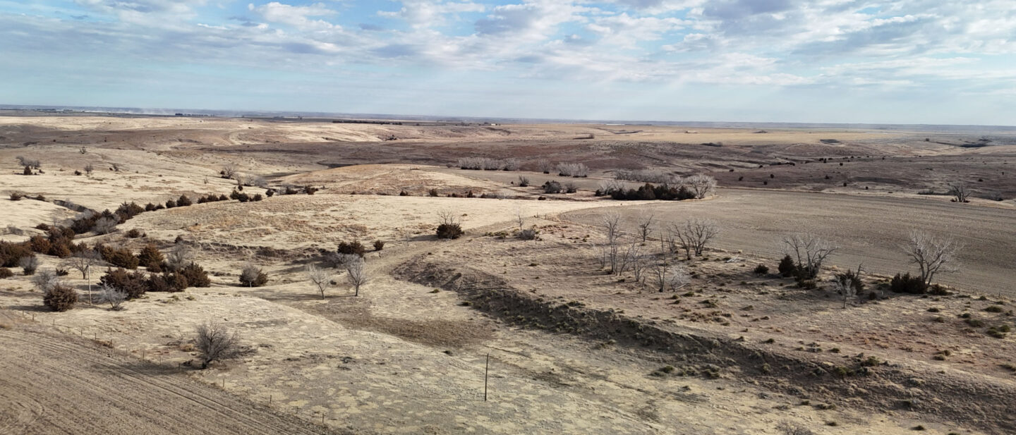 DJI 20260213100142 0031 D