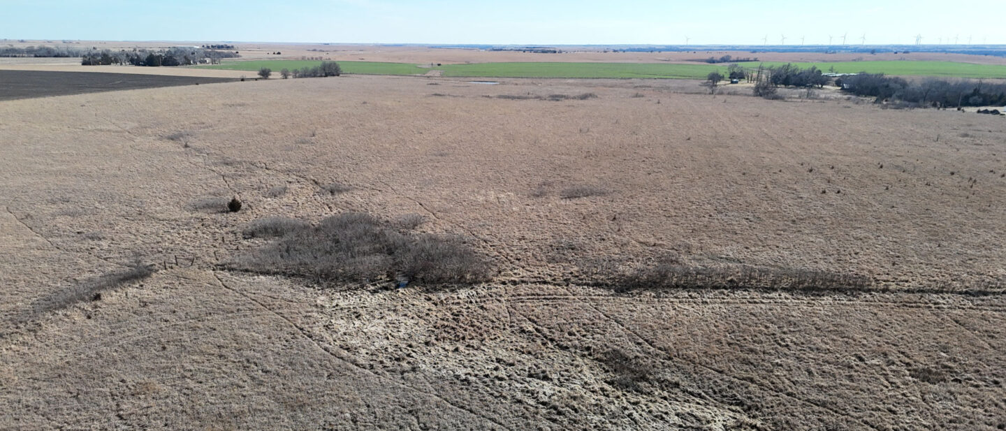 DJI 20260223145729 0566 D