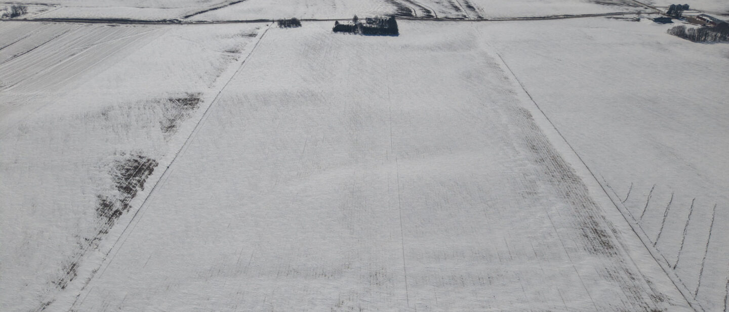 DJI 20260226113356 0025 D