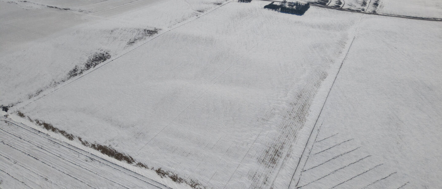 DJI 20260226113435 0026 D