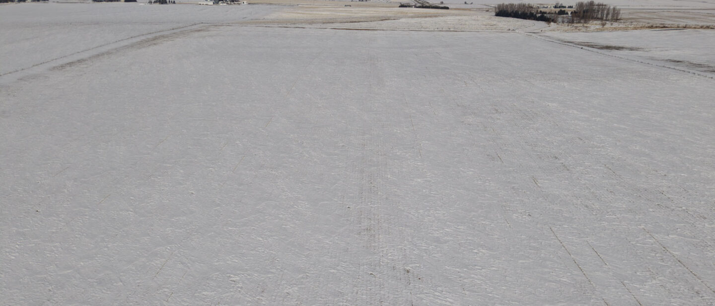 DJI 20260226113752 0028 D