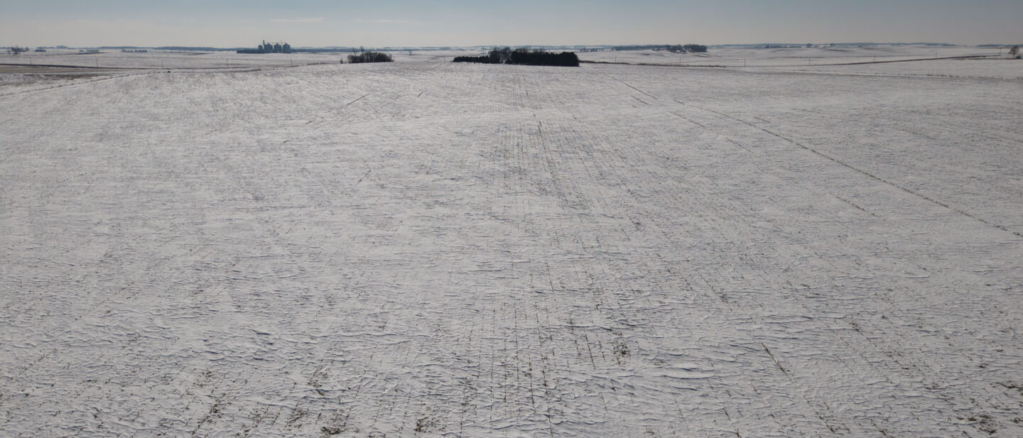 DJI 20260226114109 0032 D