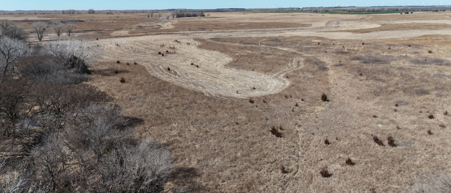 DJI 20260228133819 0733 D