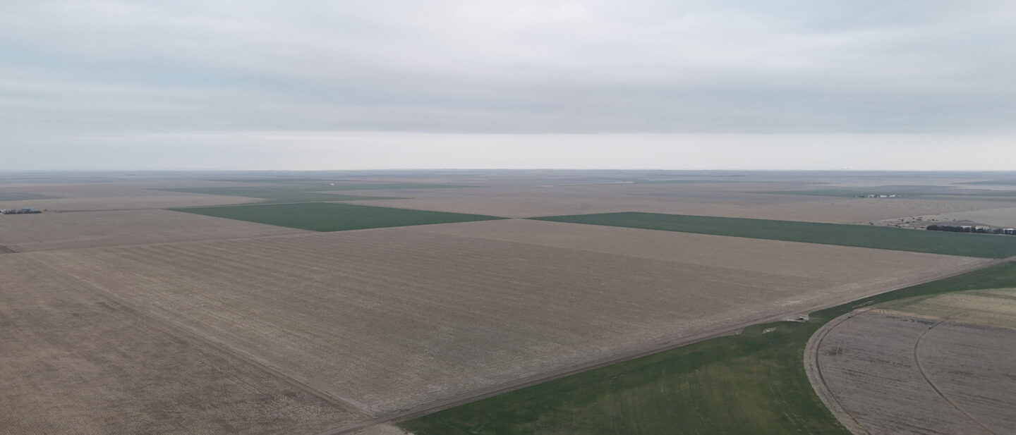 DJI 20260306174219 0558 D