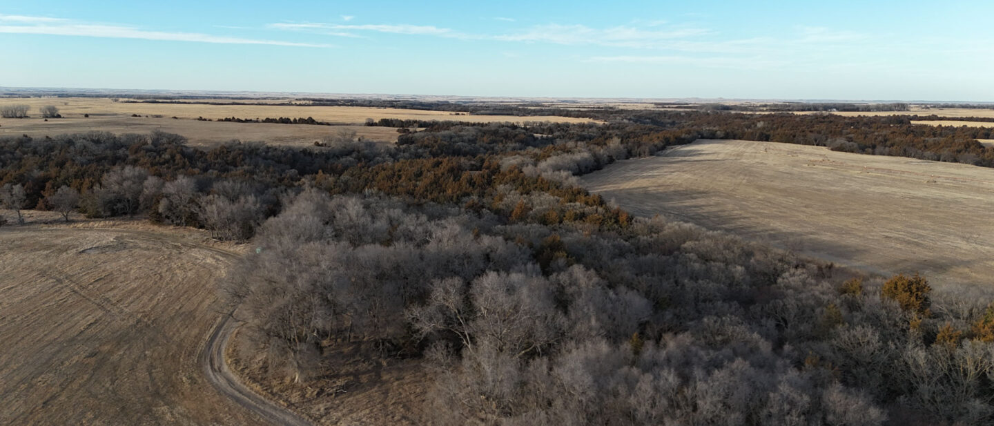 DJI 20260309185547 0032 D