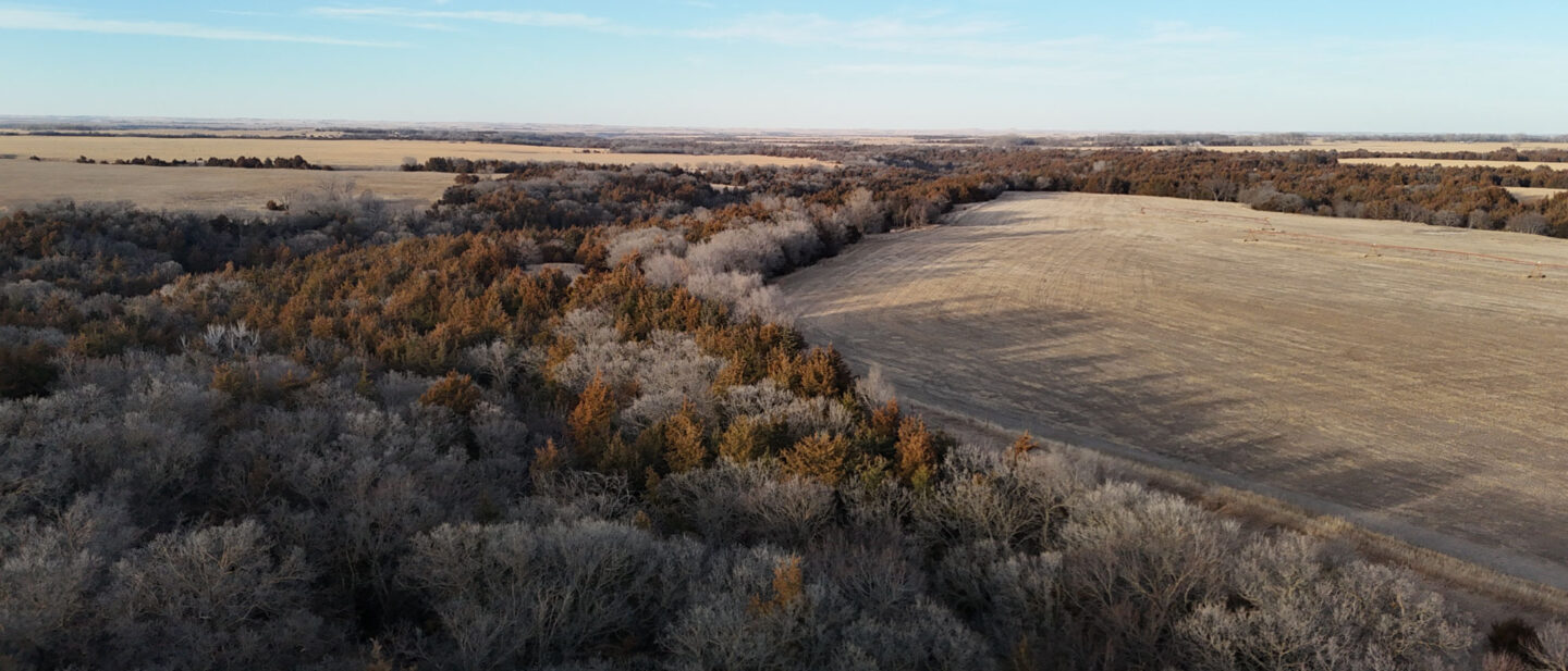 DJI 20260309185623 0035 D