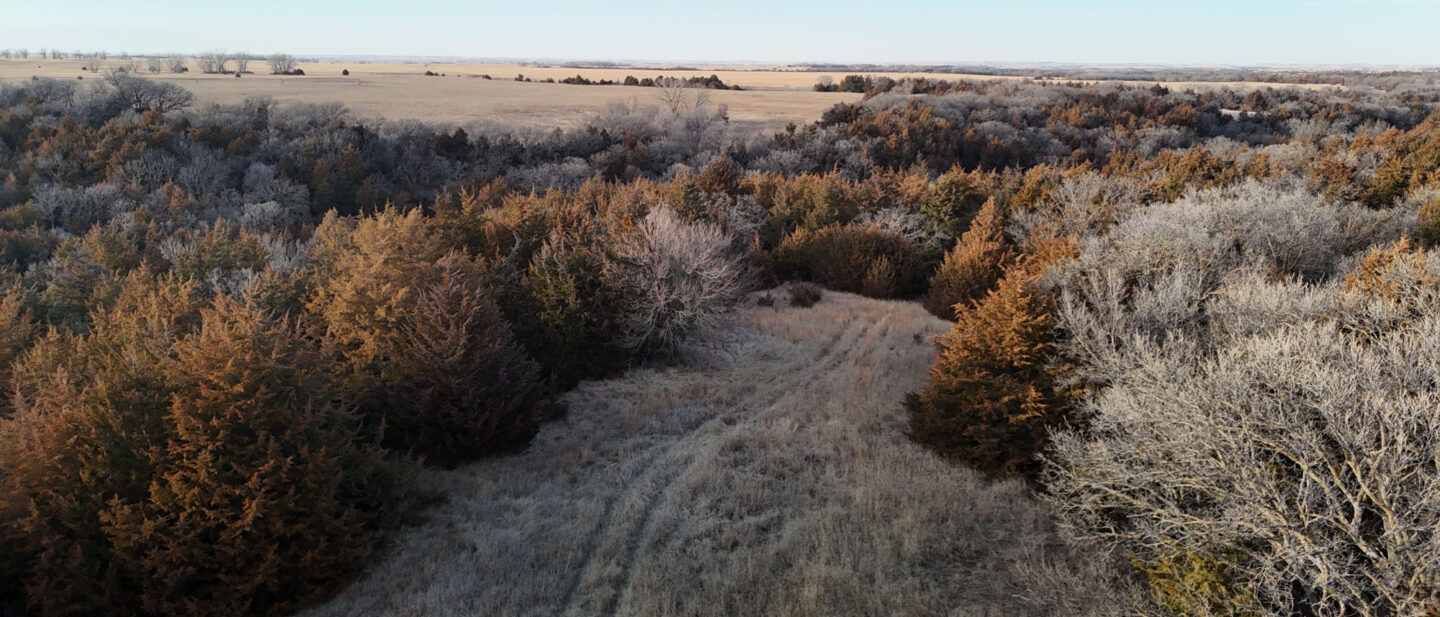 DJI 20260309185649 0036 D