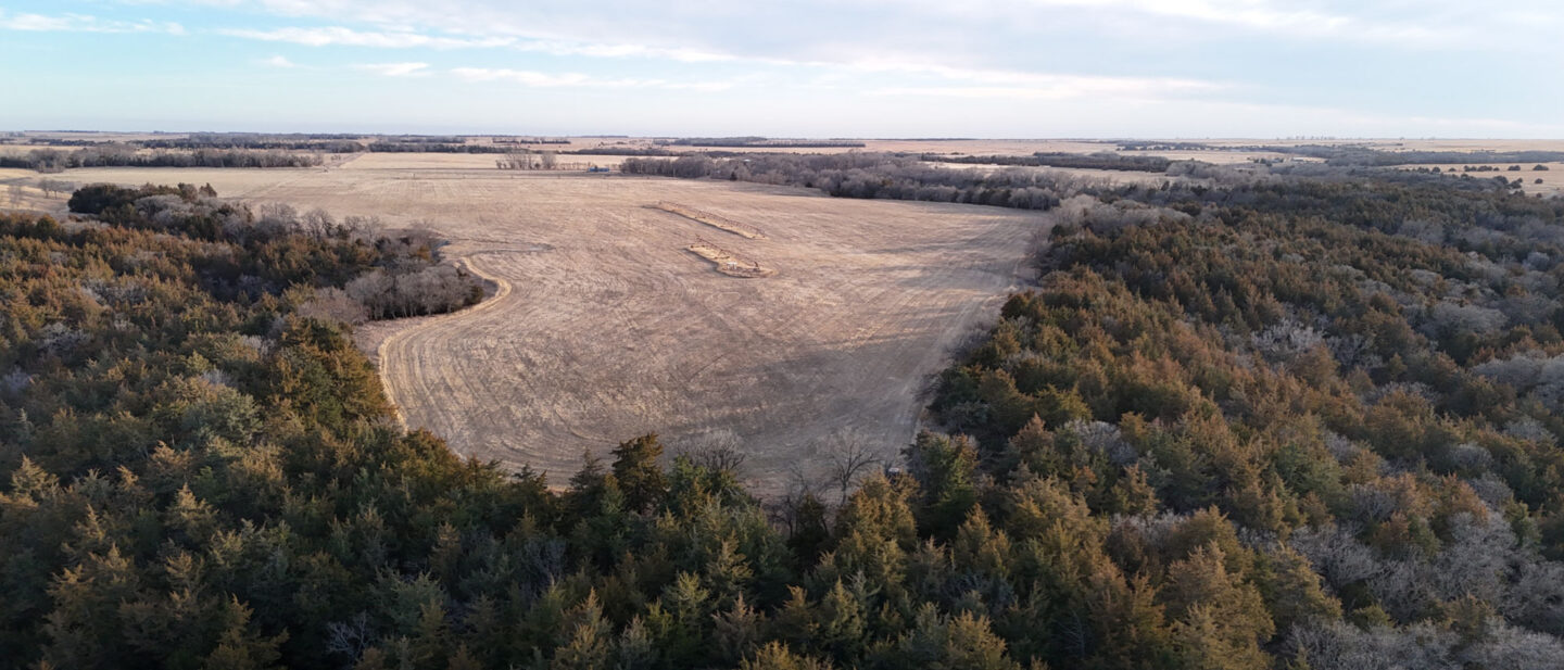 DJI 20260309185954 0042 D