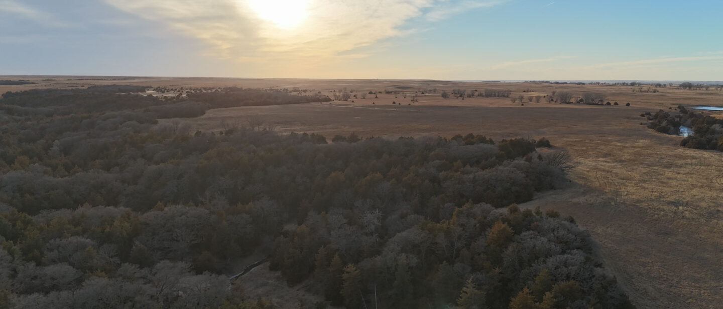 DJI 20260309190001 0044 D