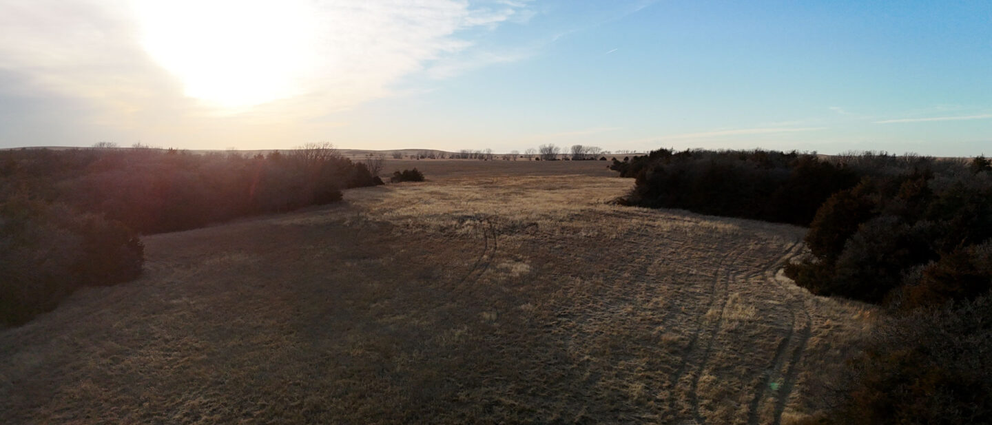 DJI 20260309190024 0045 D