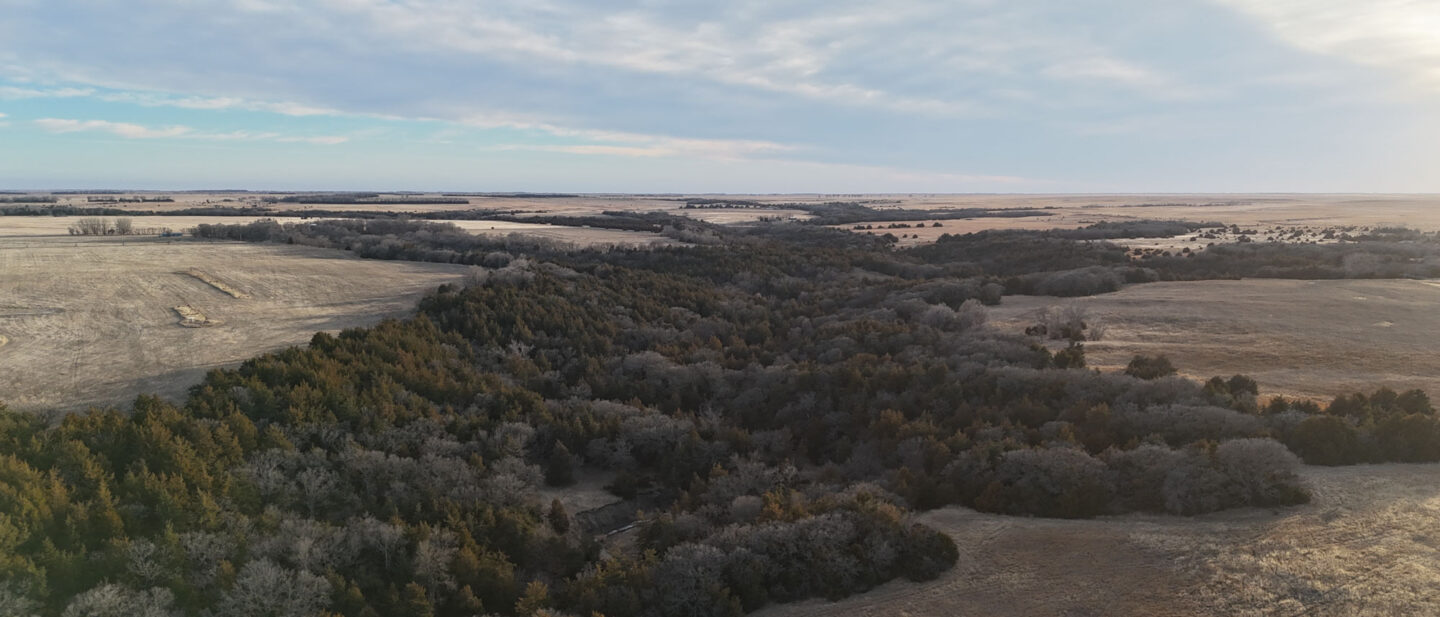 DJI 20260309190058 0046 D