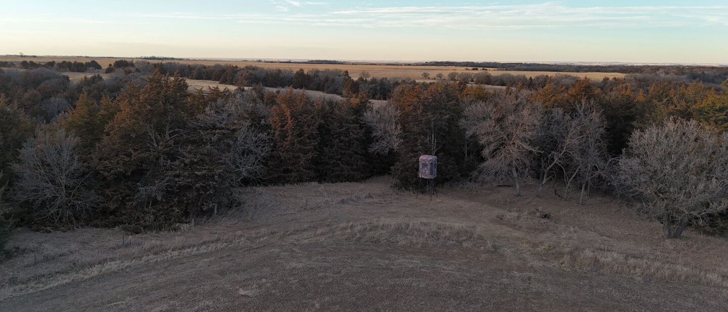 DJI 20260309191228 0084 D