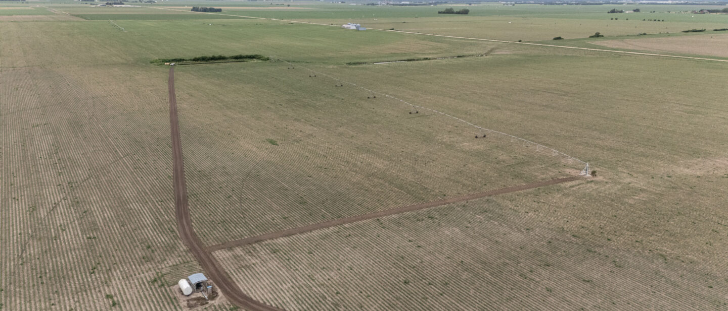 DJI 20260601153355 0014 D