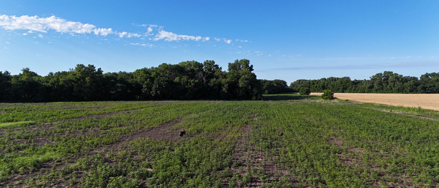 DJI 20260608124711 0037 D