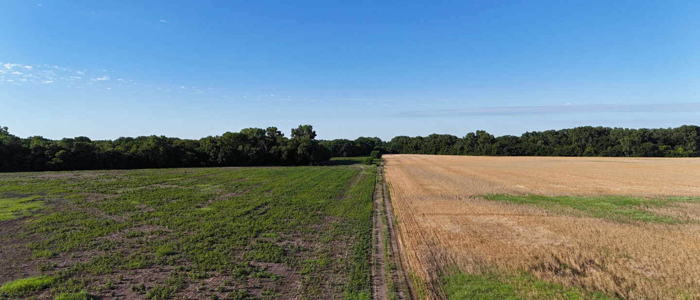 DJI 20260608125647 0042 D