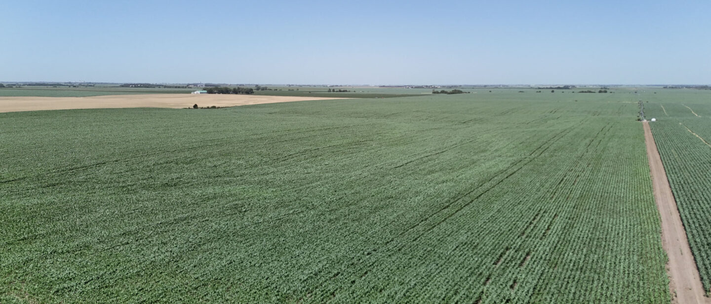 DJI 20260629135711 0298 D