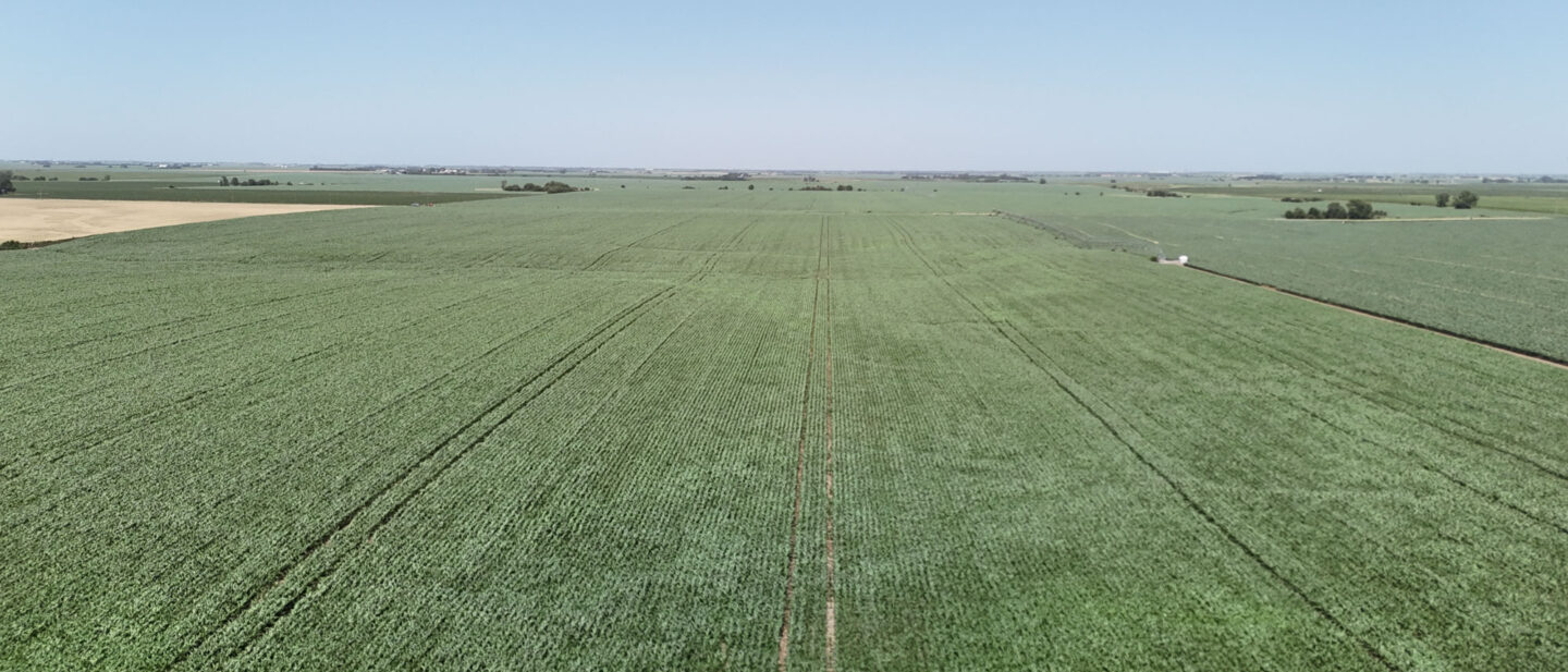 DJI 20260629135727 0301 D