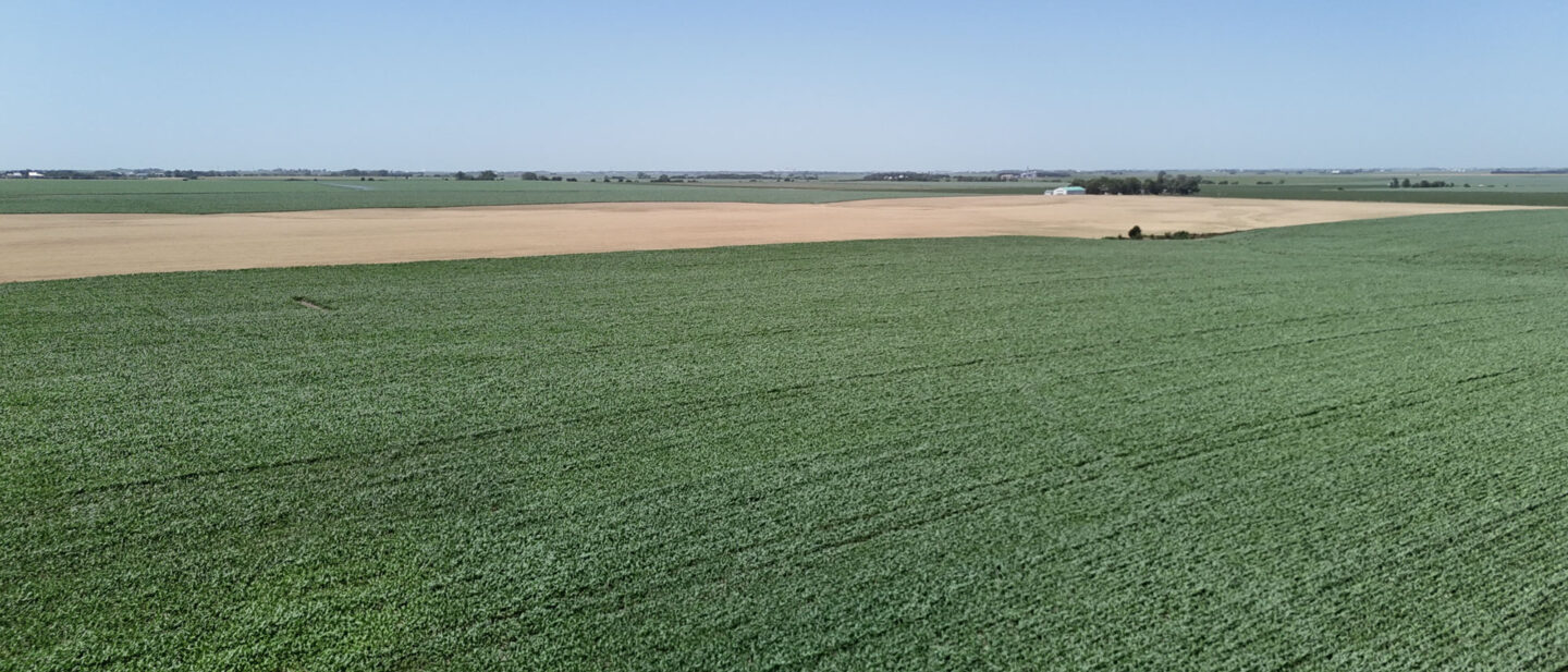 DJI 20260629135731 0302 D