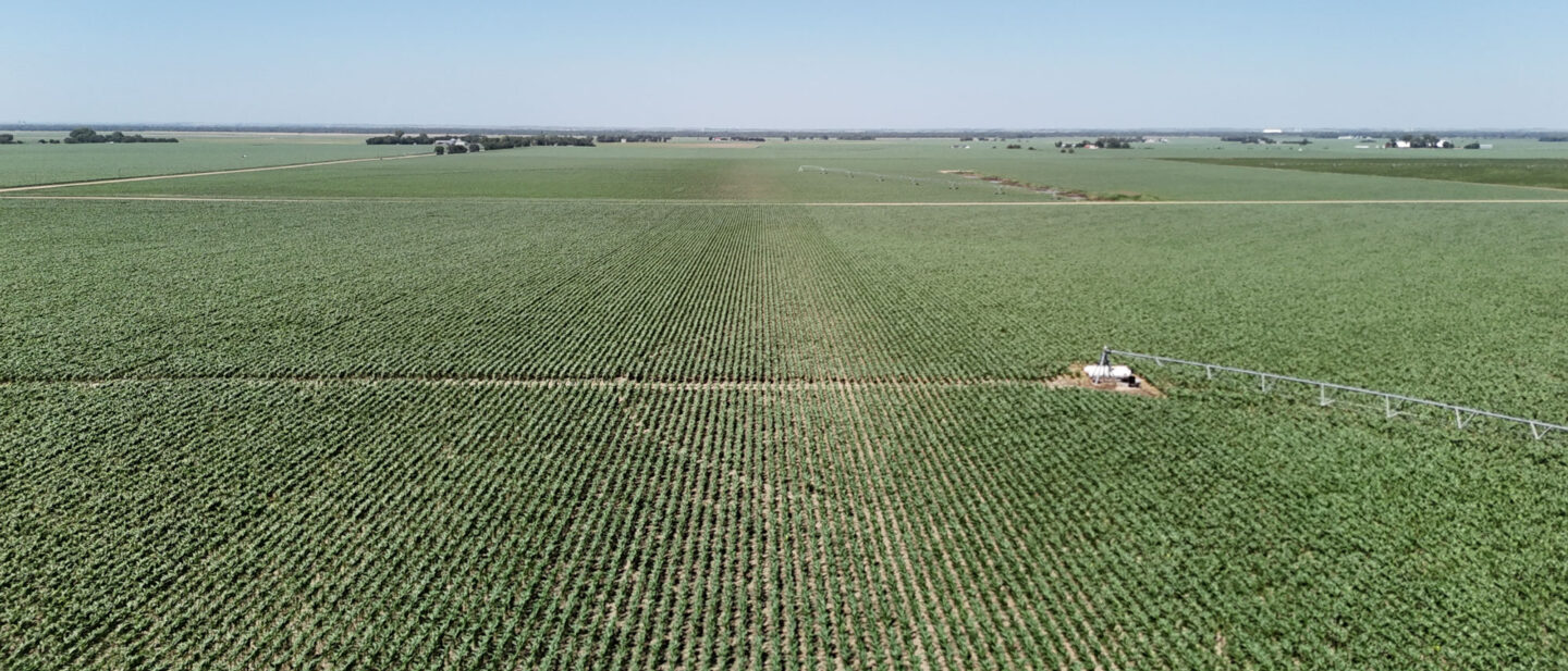 DJI 20260629150310 0320 D