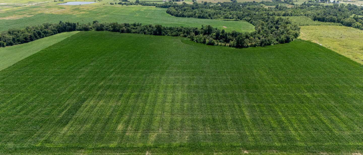DJI 20260701151132 0007 D